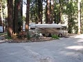Santa Cruz Redwoods RV Resort image 6