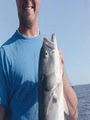 Sea Dog Sport Fishing image 1