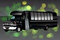 Shamrock Limousine image 9