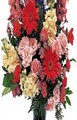 Shelton's Flowers & Gifts image 3