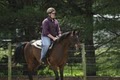 Singletree Stables Riding School logo