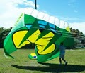 Skyward Kites image 7