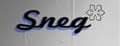 Sneg Web Design & SEO Inc. logo