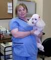 Southeast Animal Clinic image 10