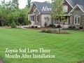 Southern Lawns Landscape and Irrigation logo