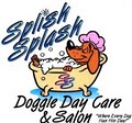 Splish Splash Dog Daycare image 2