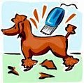 Splish Splash Dog Daycare logo