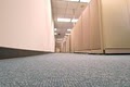 Steamer's Carpet Care - Carpet Cleaning in San Antonio image 8