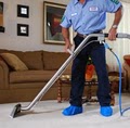 Steamer's Carpet Care - Carpet Cleaning in San Antonio image 10
