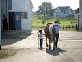 Stoneleigh-Burnham Equestrian Center image 2