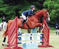 Stoneleigh-Burnham Equestrian Center image 5