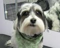 TBA Pet Grooming School | Yuppy Puppy Dog Grooming image 4