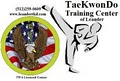 TaeKwonDo Training Center of Leander logo