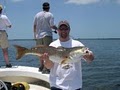 Tampa Fishing Charters image 2
