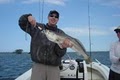 Tampa Fishing Charters image 3