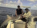 Tampa Fishing Charters image 1