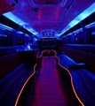 Tampa Limo Bus image 8
