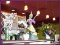 Thai Orchid and Sushi Bar image 2