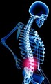 The Back Pain Management Clinic logo