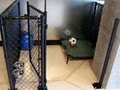 The Dog House Doggie Daycare & Boarding Services image 3