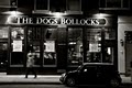The Dogs Bollocks logo
