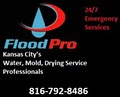 The Flood Pro image 2