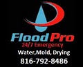 The Flood Pro logo