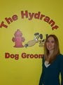 The Hydrant Dog Grooming image 1