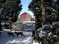 The Kennels at Hopewell Run Farm image 1