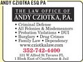 The Law Office of Andy Cziotka, P.A. image 4