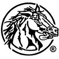 The Platinum Horse Cabaret logo