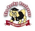 The Pooky Professor logo
