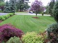 Total Lawn Care image 4