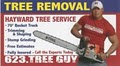 Tree Removal logo