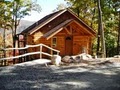 Treehouse Cabin Rentals image 1