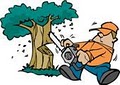 Tress Service and Trash Hauling image 2