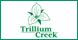 Trillium Creek Dermatology & Surgery logo