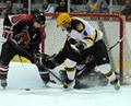 Troy Bruins Hockey Team image 2