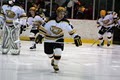 Troy Bruins Hockey Team image 3