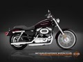 Twin Cities Harley-Davidson image 3