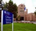 University of Florida Vet logo