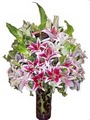 VIP Floral Designs image 3
