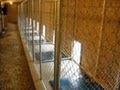 Vacation Kennels image 2