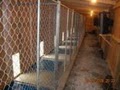 Vacation Kennels image 1