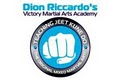 Victory Martial Arts Academy Chicago MMA Training image 2