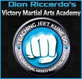 Victory Martial Arts Academy Chicago MMA Training logo