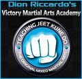Victory Martial Arts Academy image 2