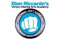 Victory Martial Arts Academy logo