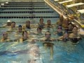 Warrenton Masters Swim Team image 1
