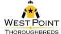 West Point Thoroughbreds image 1